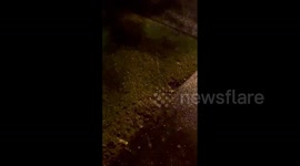 Hawaii pelted with hail as thunderstorms trigger flood warnings