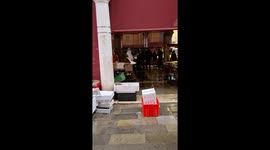 Seagull stealing fish in Venice fish marlet
