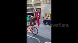 Pro-Trump demonstration in New York, NY, USA