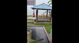 Father and son beautiful moment at the beach. Such a precious view to capture
