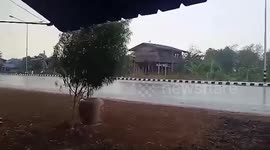 Trees blown over by tropical storm in northeast Thailand