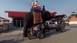 Locals use model elephant for religious parade instead of live animal amid exploitation concerns