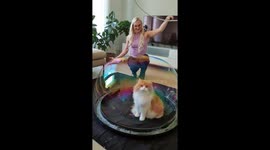 Adorable cat gets 'trapped' in a GIANT soap bubble