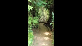 Zoo in Lucknow Uttar Pradesh