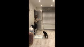 Heartwarming scene shows parents surprising emotional children with puppy months after losing German Shepherd