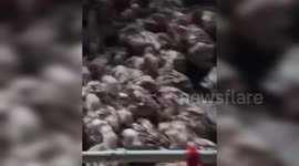 Thousands of Livestock Chickens Washed Away in Flash Floods in Cianjur, West Java