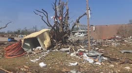 US tornado destroys buildings and uproots trees in Rolling Fork