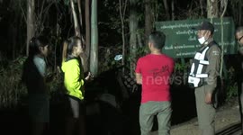 Missing Frenchman, 73, rescued after getting lost in Thai jungle