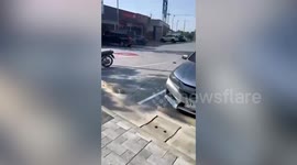 Kind driver rescues stray kitten crawling across hot pavement