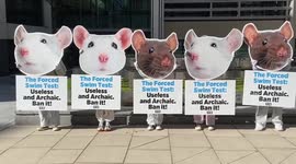 PETA activists wear huge mice masks against swim tests outside UK Home Office