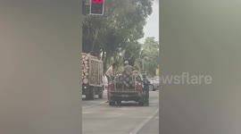 Bull holds up traffic when it climbs up roof of pickup truck