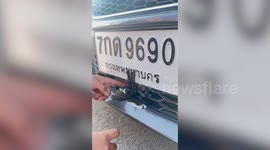 Kind driver helps bird stuck in her car bumper
