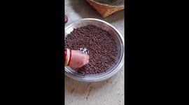 A rural Indian village woman sits at home cleaning small stones from red gram