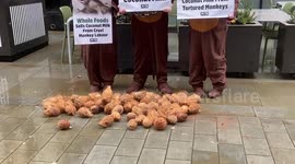 PETA ‘monkeys’ smash coconuts outside Whole Foods in protest against inhumane coconut milk