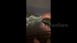Japan: Cherry Blossoms In Full Bloom Illuminated At Night 2