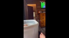 This woman had NO IDEA her granddaughter had given birth *Her reaction was comical*