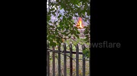 Elizabeth line trains cancelled after fire erupts on tracks at Maidenhead station