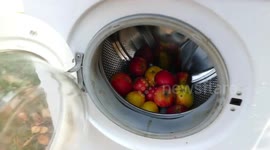 That's not how to make a smoothie: YouTuber spins apples in washing machine