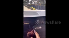 Car's radar detects numerous 'people' in deserted cemetery ahead of China's Tomb-Sweeping Festival