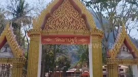 Wild monkeys cool off in pool as temperatures soar in Thailand