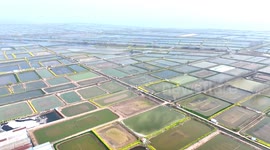 Drone Footage Of Crab Base In Suqian, China