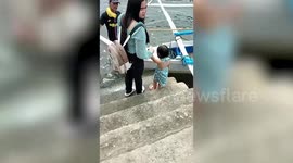Woman and toddler slip on wet concrete steps as they board boat