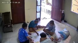 Wild flush! monitor lizard wanders into room while women play cards