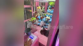 Amusing cat pretends to be toy inside claw machine