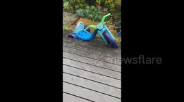 US: Heavy Rains, Hail Pelt Bay Area In Latest Series Of Storms 2