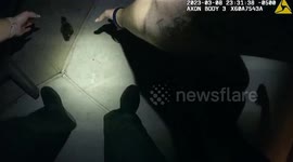 Police Rescue Ducklings Stuck In Swimming Pool In Seminole County, FL, USA