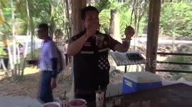 Zoo gibbons treated to refreshing popsicles as temperatures soar in Thailand