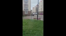 Fox tries its best to catch a clever squirrel *amazing video*