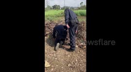 Heroic police officers rescue barn owl trapped down dry well in China