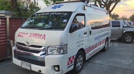 British pensioner, 69, dies from allergic reaction to bee sting in Thailand