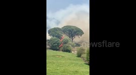 Spain: Multiple Wildfires Rage Across Asturias 9