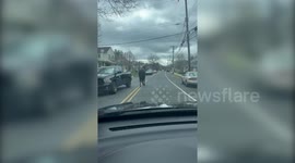 Escaped Horses Lead Police On Slow Chase Around Town In Hulmeville, PA, USA