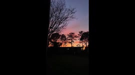 Beautiful Multicolored sunset in Orlando Florida through the palm trees