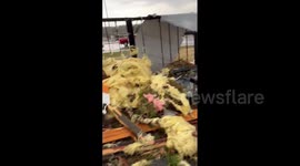 Powerful tornado tatters Arkansas: dozens injured, buildings damaged, trees torn, cars overturned, 100K without power