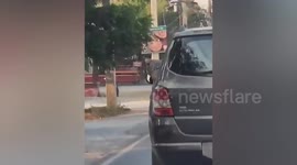 Super cool pet dog wears goggles while sticking head out of moving car's window