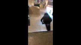 A skater dramatically fails backflip.
