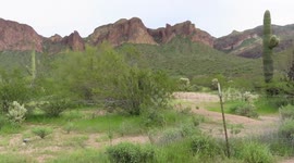 Cool to see the Arizona desert look so green near Fountain Hills