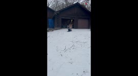 *Hilarious sledding fail* Girl falls over when trying to sled down the driveway
