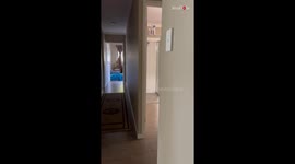 Girl catches jumpy brother off-guard with a hilarious scare prank