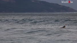 Brave paddler tries his hand at freestyle kayaking in rough waters of the Basque Country