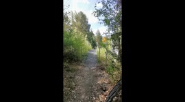 Young cyclist forgets about brakes while approaching tree at full speed *BAM!*