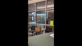 Girl is hit by a truck of emotions after mom surprises her with a new puppy at school