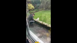 Picking up and stroking a cute super rare wild albino squirrel in our garden in South London