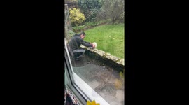 Extremely rare albino squirrel surfaces in London, embraces man who pets him