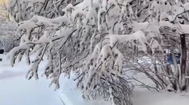 US: Spring Winter Storm Brings Overnight Heavy Snow To Much Of Minnesota