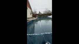 Snowstorm in spring to the delight of our Alaskan Malamutes but not so for our hens
